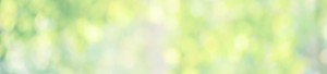 top_bg001